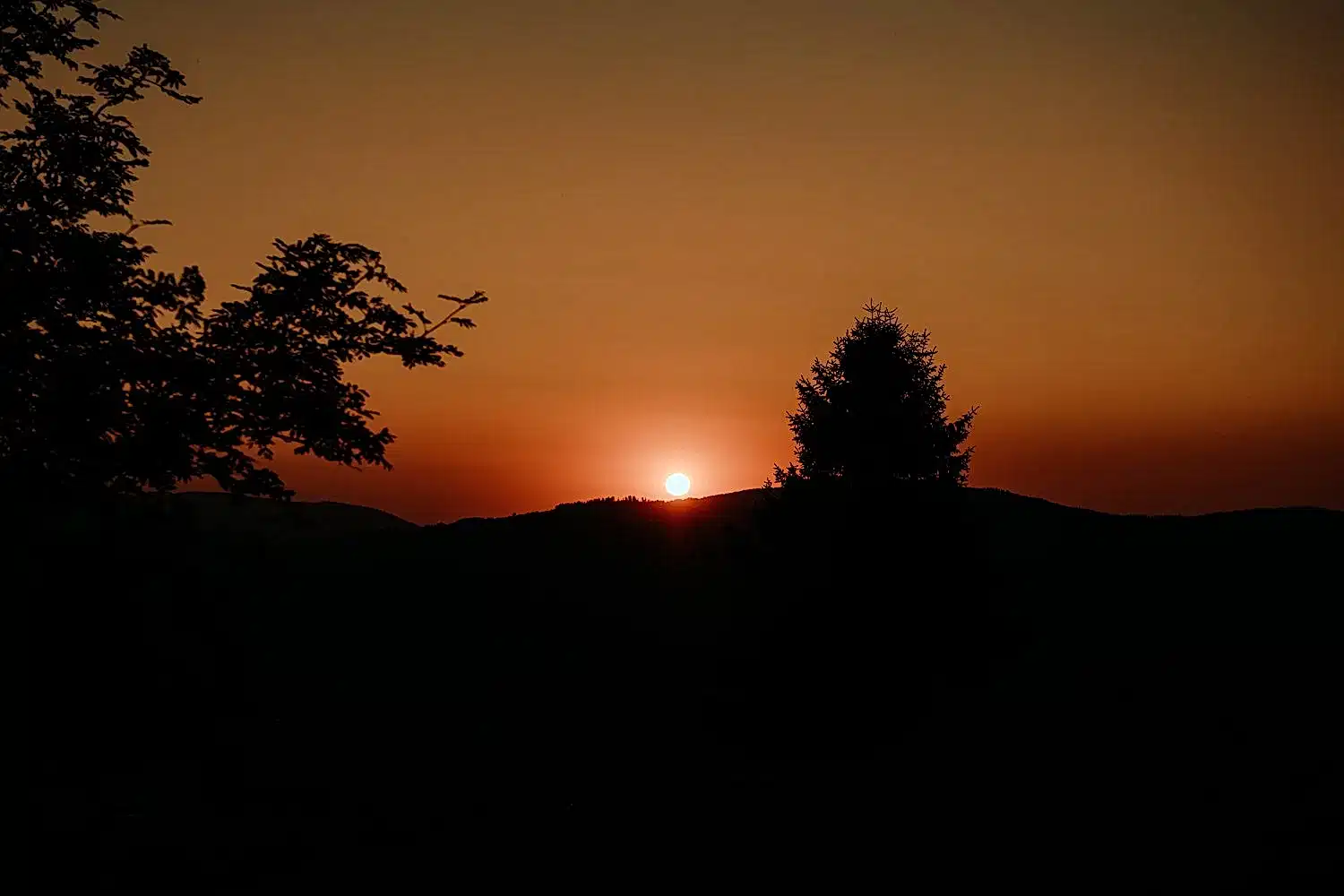 Sesja ślubna w górach - Beskid Śląski